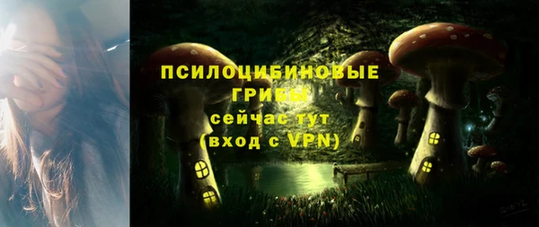 2c-b Ладушкин