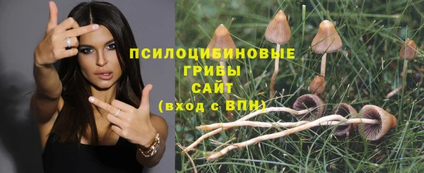 мдпв Лабытнанги