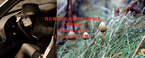 гидропоника Лиски